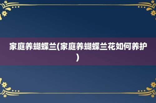 家庭养蝴蝶兰(家庭养蝴蝶兰花如何养护)