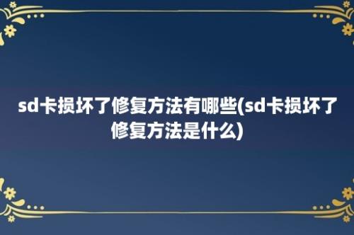 sd卡损坏了修复方法有哪些(sd卡损坏了修复方法是什么)