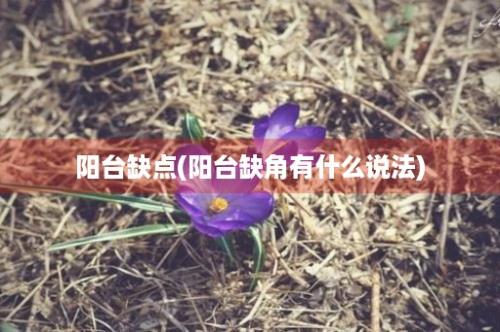 阳台缺点(阳台缺角有什么说法)