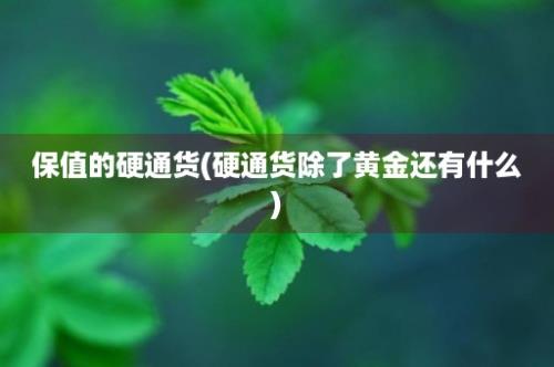 保值的硬通货(硬通货除了黄金还有什么)