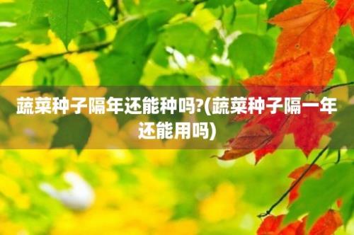 蔬菜种子隔年还能种吗?(蔬菜种子隔一年还能用吗)