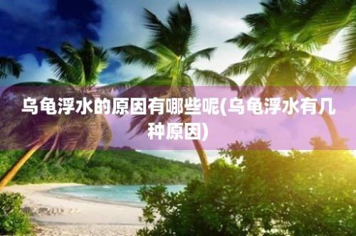 乌龟浮水的原因有哪些呢(乌龟浮水有几种原因)