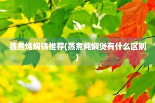 蒸煮炖焖锅推荐(蒸煮炖焖煲有什么区别)