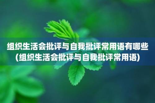 组织生活会批评与自我批评常用语有哪些(组织生活会批评与自我批评常用语)