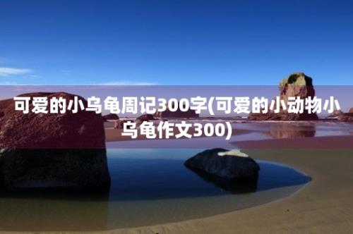 可爱的小乌龟周记300字(可爱的小动物小乌龟作文300)