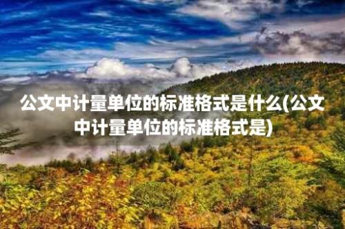 公文中计量单位的标准格式是什么(公文中计量单位的标准格式是)