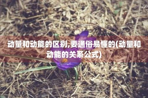 动量和动能的区别,要通俗易懂的(动量和动能的关系公式)