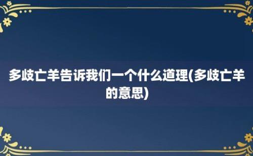 多歧亡羊告诉我们一个什么道理(多歧亡羊的意思)