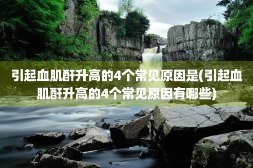 引起血肌酐升高的4个常见原因是(引起血肌酐升高的4个常见原因有哪些)