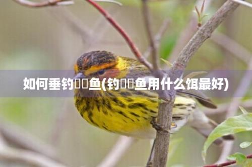 如何垂钓鳑鲏鱼(钓鳑鲏鱼用什么饵最好)