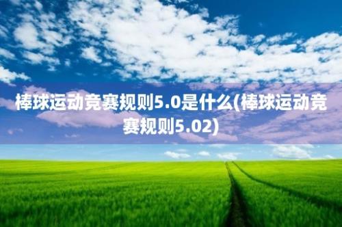 棒球运动竞赛规则5.0是什么(棒球运动竞赛规则5.02)