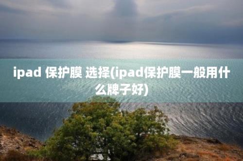 ipad 保护膜 选择(ipad保护膜一般用什么牌子好)