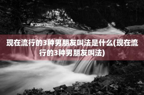 现在流行的3种男朋友叫法是什么(现在流行的3种男朋友叫法)