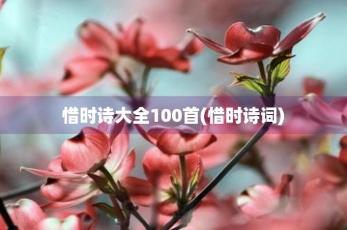 惜时诗大全100首(惜时诗词)