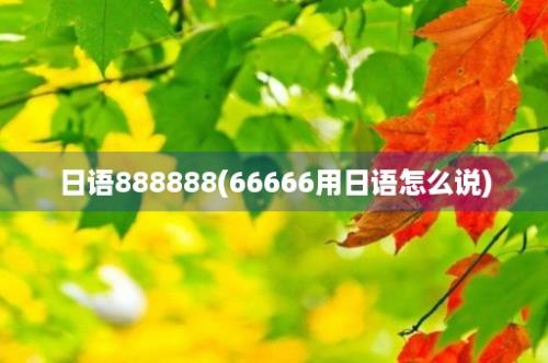 日语888888(66666用日语怎么说)