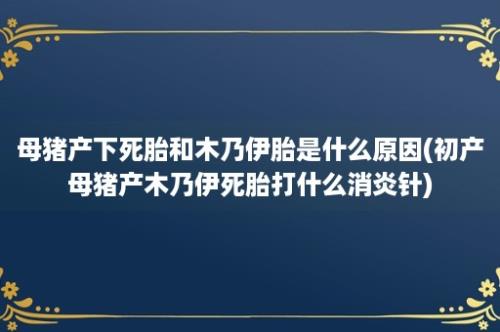 母猪产下死胎和木乃伊胎是什么原因(初产母猪产木乃伊死胎打什么消炎针)