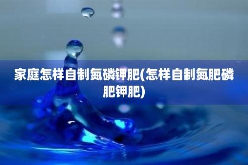 家庭怎样自制氮磷钾肥(怎样自制氮肥磷肥钾肥)