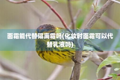 面霜能代替隔离霜吗(化妆时面霜可以代替乳液吗)