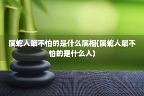 属蛇人最不怕的是什么属相(属蛇人最不怕的是什么人)