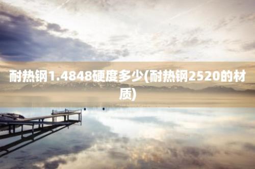 耐热钢1.4848硬度多少(耐热钢2520的材质)