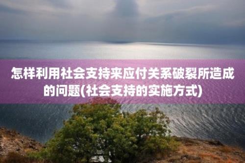 怎样利用社会支持来应付关系破裂所造成的问题(社会支持的实施方式)