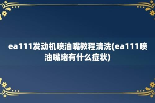 ea111发动机喷油嘴教程清洗(ea111喷油嘴堵有什么症状)