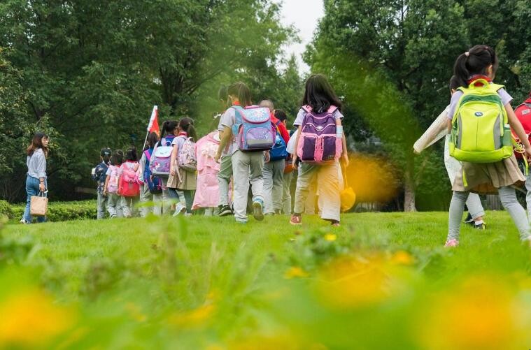 课程体系包括哪些要素