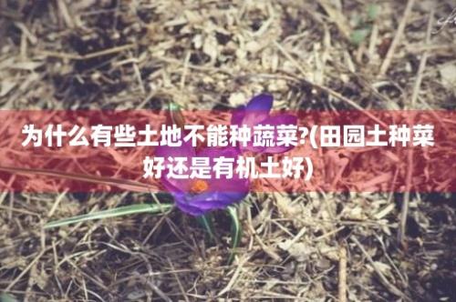 为什么有些土地不能种蔬菜?(田园土种菜好还是有机土好)