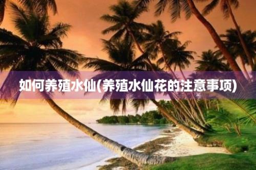 如何养殖水仙(养殖水仙花的注意事项)