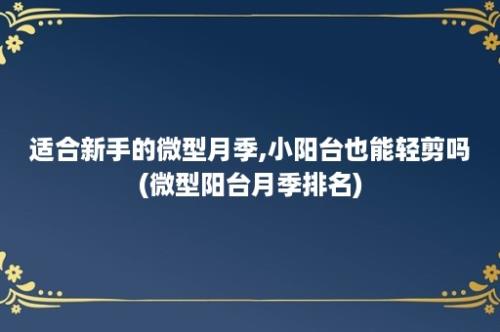 适合新手的微型月季,小阳台也能轻剪吗(微型阳台月季排名)