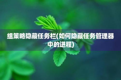 组策略隐藏任务栏(如何隐藏任务管理器中的进程)