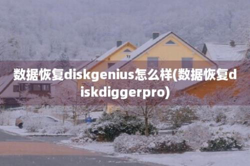 数据恢复diskgenius怎么样(数据恢复diskdiggerpro)