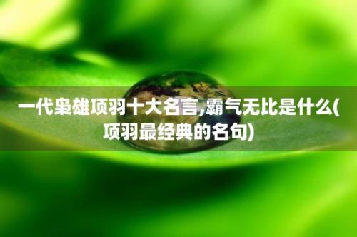 一代枭雄项羽十大名言,霸气无比是什么(项羽最经典的名句)