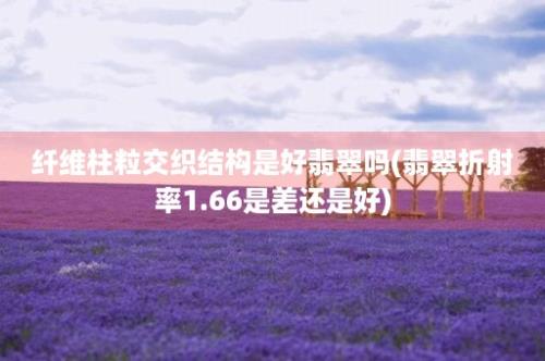 纤维柱粒交织结构是好翡翠吗(翡翠折射率1.66是差还是好)