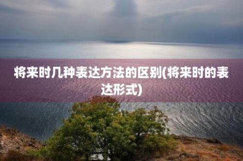 将来时几种表达方法的区别(将来时的表达形式)