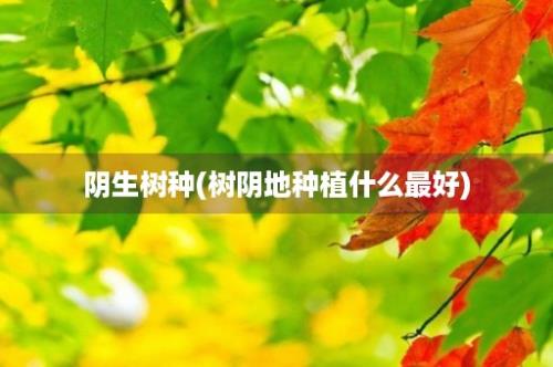 阴生树种(树阴地种植什么最好)