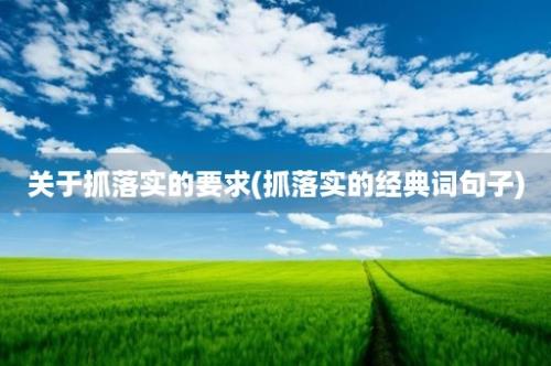 关于抓落实的要求(抓落实的经典词句子)