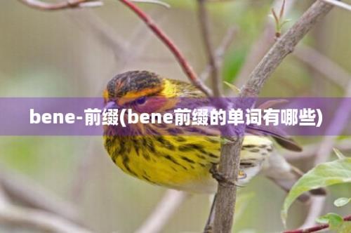 bene-前缀(bene前缀的单词有哪些)