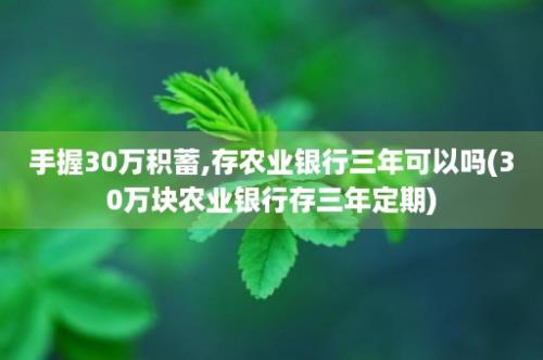 手握30万积蓄,存农业银行三年可以吗(30万块农业银行存三年定期)