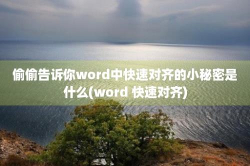 偷偷告诉你word中快速对齐的小秘密是什么(word 快速对齐)