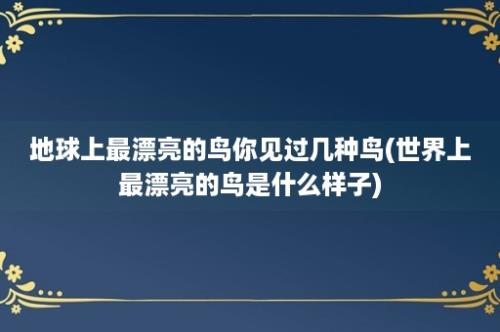 地球上最漂亮的鸟你见过几种鸟(世界上最漂亮的鸟是什么样子)