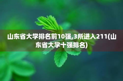 山东省大学排名前10强,3所进入211(山东省大学十强排名)