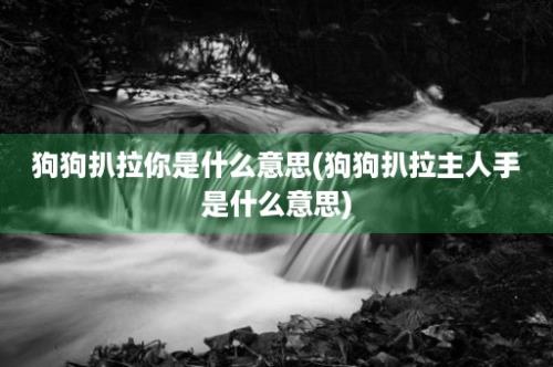 狗狗扒拉你是什么意思(狗狗扒拉主人手是什么意思)