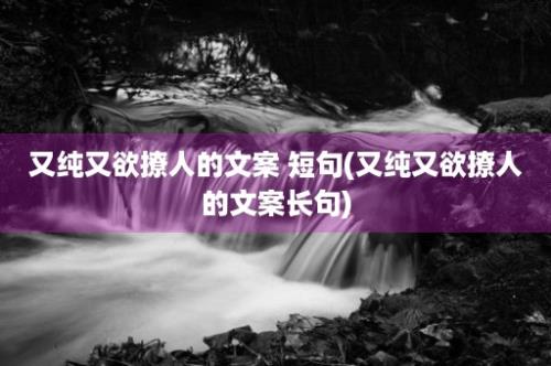 又纯又欲撩人的文案 短句(又纯又欲撩人的文案长句)