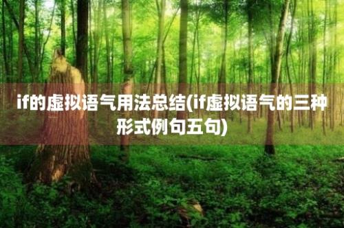 if的虚拟语气用法总结(if虚拟语气的三种形式例句五句)