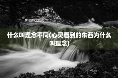 什么叫理念不同(心灵看到的东西为什么叫理念)