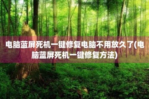 电脑蓝屏死机一键修复电脑不用放久了(电脑蓝屏死机一键修复方法)