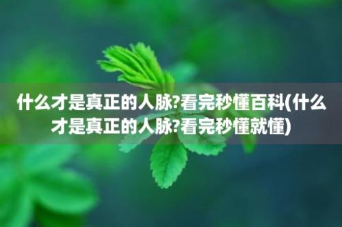 什么才是真正的人脉?看完秒懂百科(什么才是真正的人脉?看完秒懂就懂)