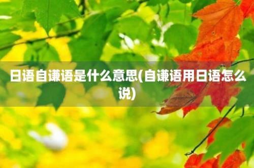 日语自谦语是什么意思(自谦语用日语怎么说)