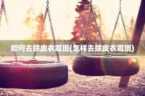 如何去除皮衣霉斑(怎样去除皮衣霉斑)